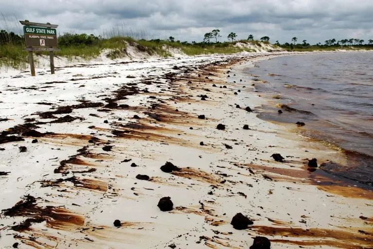 Illustration for the news story: Oil Washed Ashore Again in Gulf Shores in August 2010
