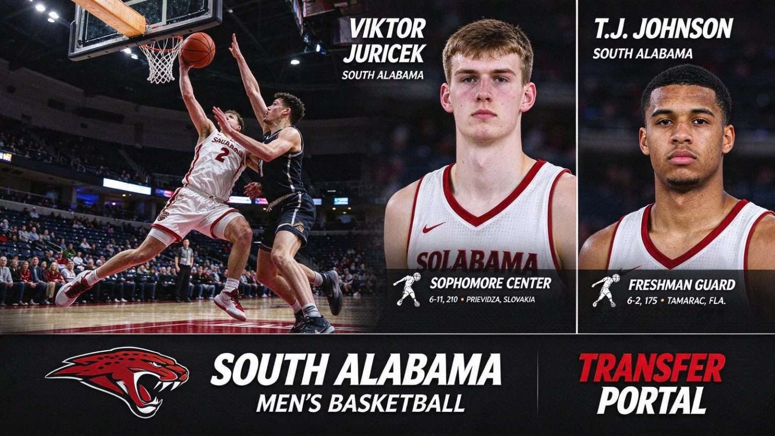 Illustration for the news story: Viktor Juricek, T.J. Johnson to Transfer From South Alabama Men’s Basketball Program