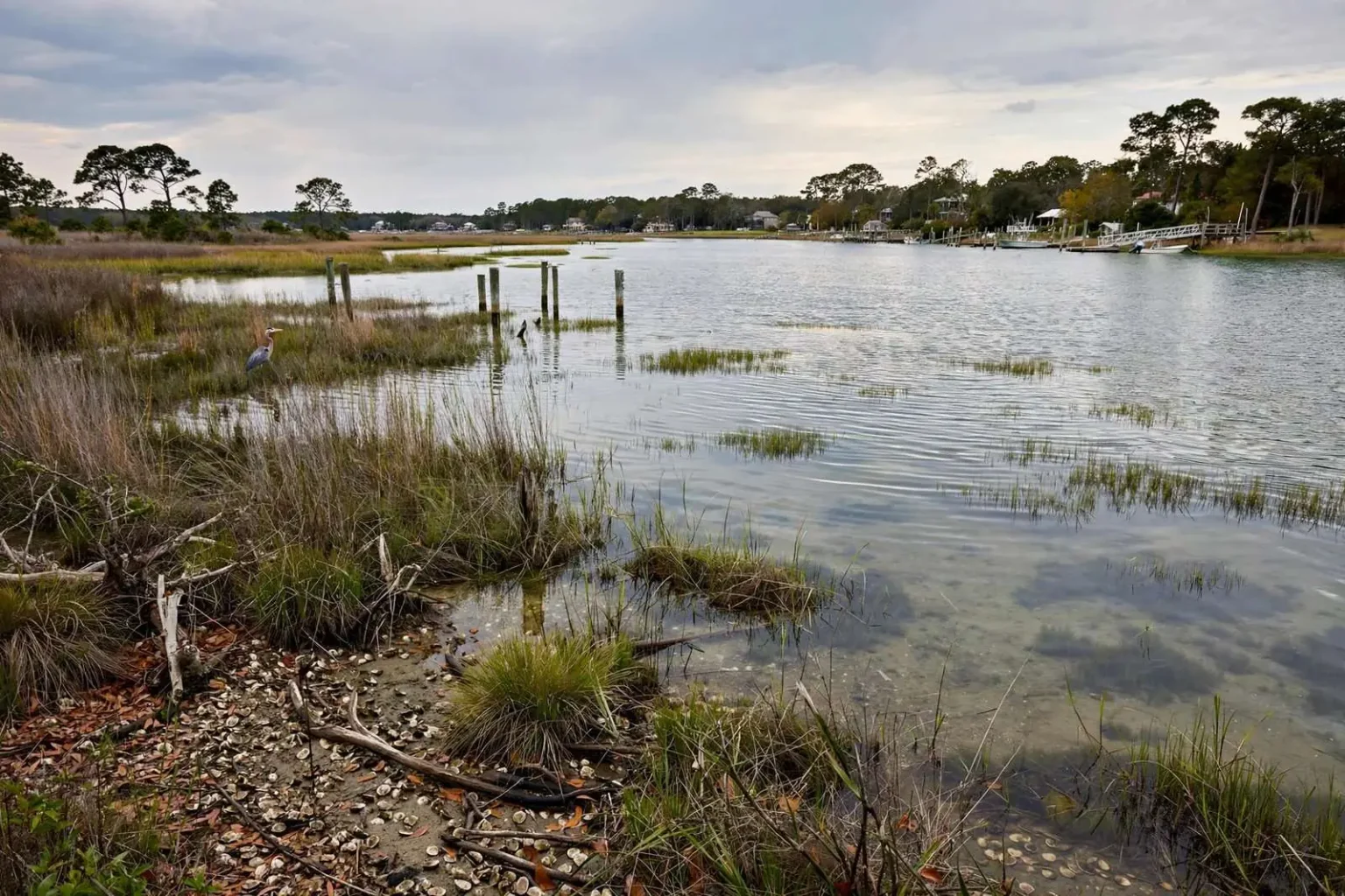 Illustration for the news story: Little Lagoon Preservation Group to Tackle Septic Tanks, Marinas at Gulf Shores Meeting