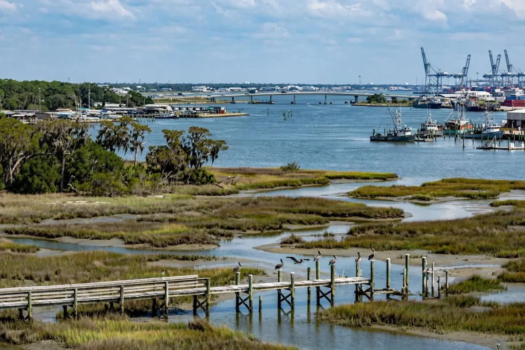 Illustration for the news story: 30 RESTORE Act Projects Worth $413 Million Advance for Evaluation Along Alabama’s Gulf Coast