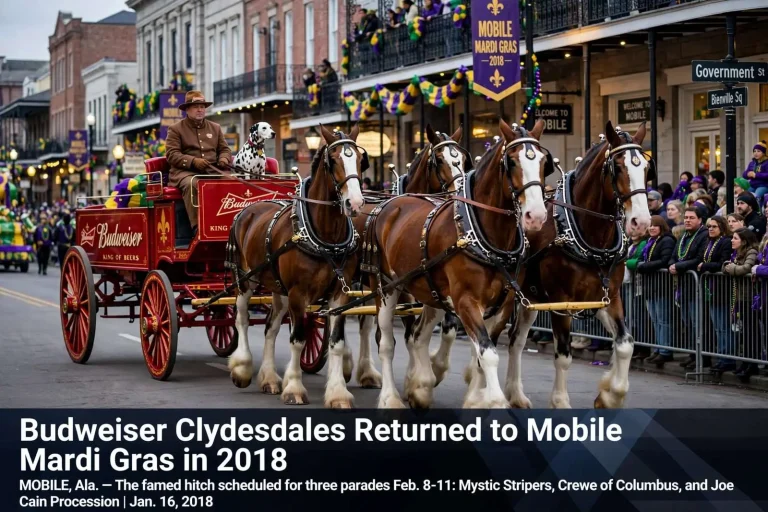 Illustration for the news story: Budweiser Clydesdales Returned to Mobile Mardi Gras in 2018