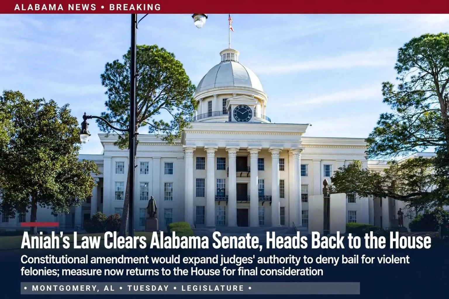 Illustration for the news story: Aniah’s Law Clears Alabama Senate, Heads Back to the House