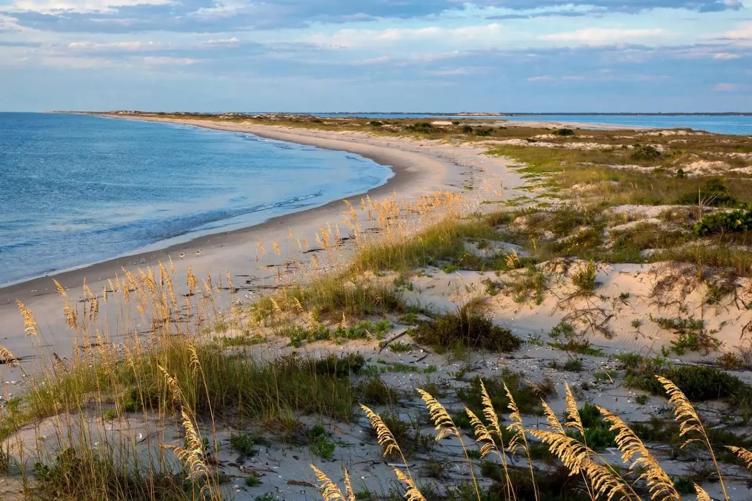 Illustration for the news story: Alabama Coast Caretakers Secure West End of Dauphin Island for Public Conservation