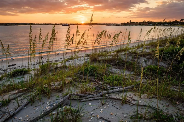 Illustration for the news story: Dauphin Island Named One of the Best Hidden Beaches in the U.S.