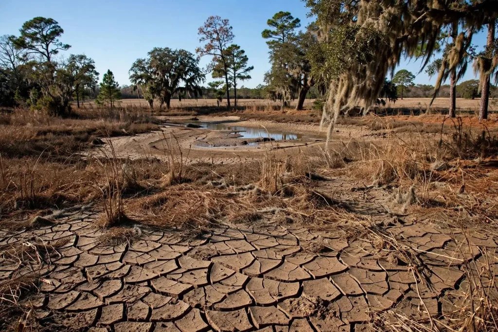 Illustration for the news story: Dry, Sunny Pattern Persists Across South Alabama as Drought Deepens