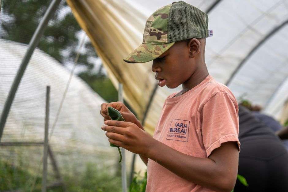 Young 4-H student examining plants as part of agricultural youth program
