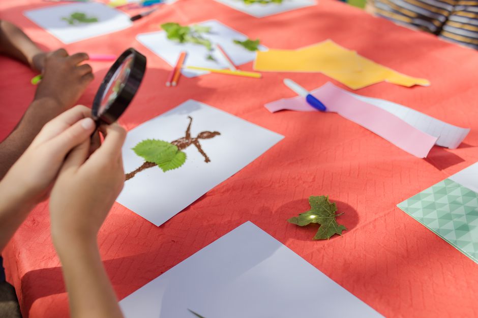 Students participating in a hands-on watershed education event similar to the Water Festival