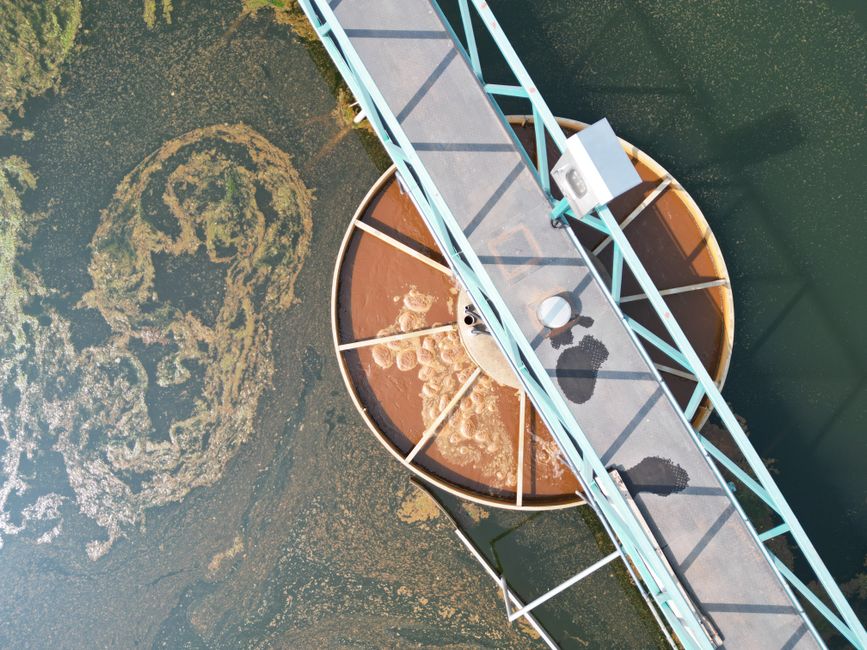 Mobile Bay waters where Algae Systems is considering a commercial wastewater-to-fuel facility