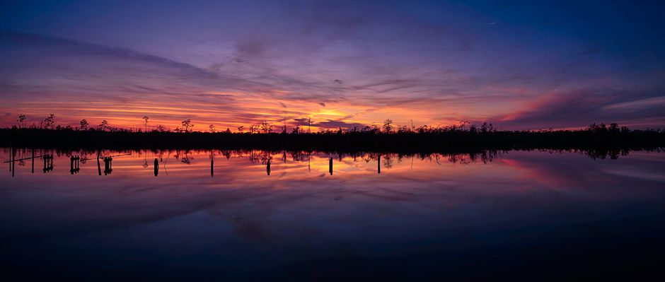 Landscape near Atmore Alabama