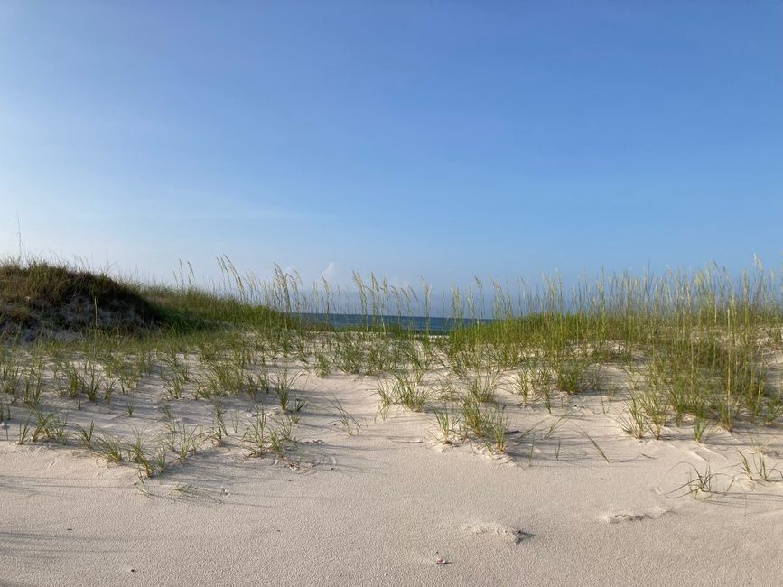 Beach dunes on Alabama's Gulf Coast