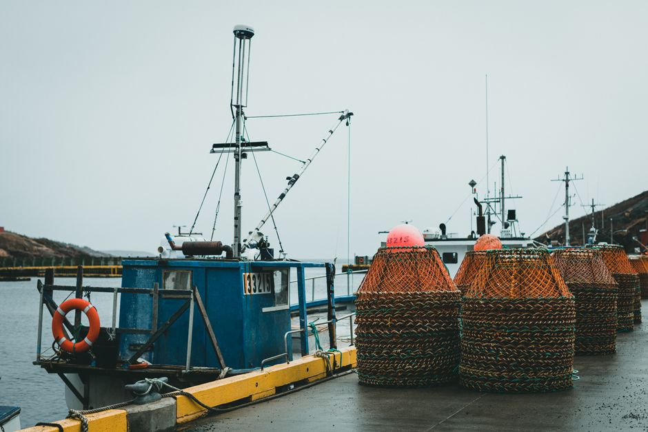 Fishing boats docked at a Gulf Coast harbor