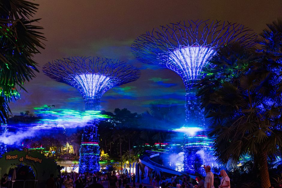 Illuminated garden pathway decorated for the holidays