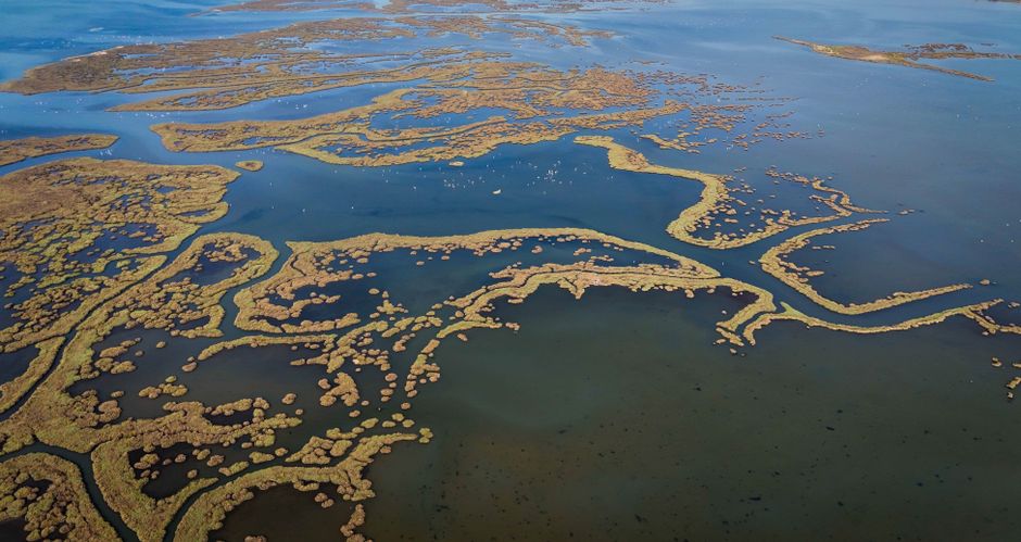 Aerial view of a coastal marsh and wetland ecosystem