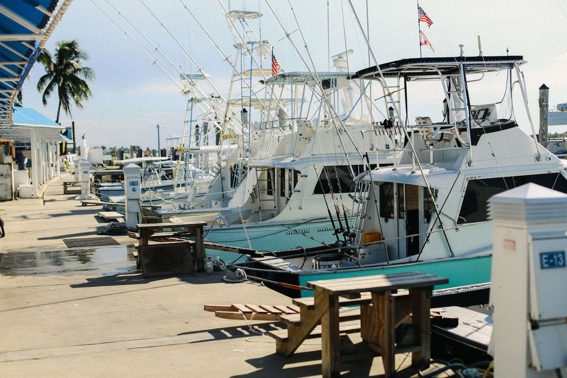 Charter fishing boats docked at a Gulf Coast marina