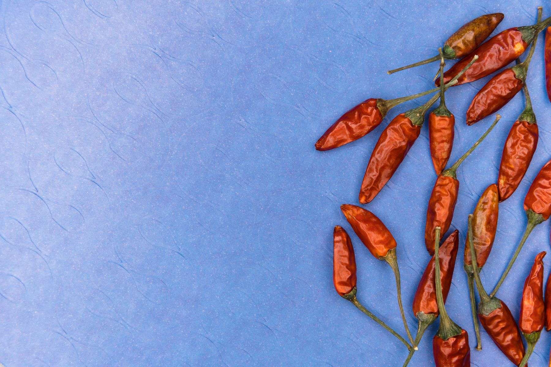 Several bowls of chili prepared for a cook-off contest