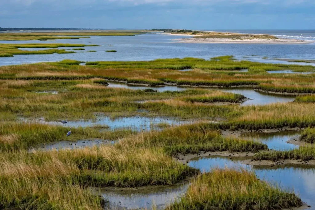 Illustration for the news story: Coastal Alabama Lands $87 Million in Deepwater Horizon Money for Wetlands, Islands and Water Quality
