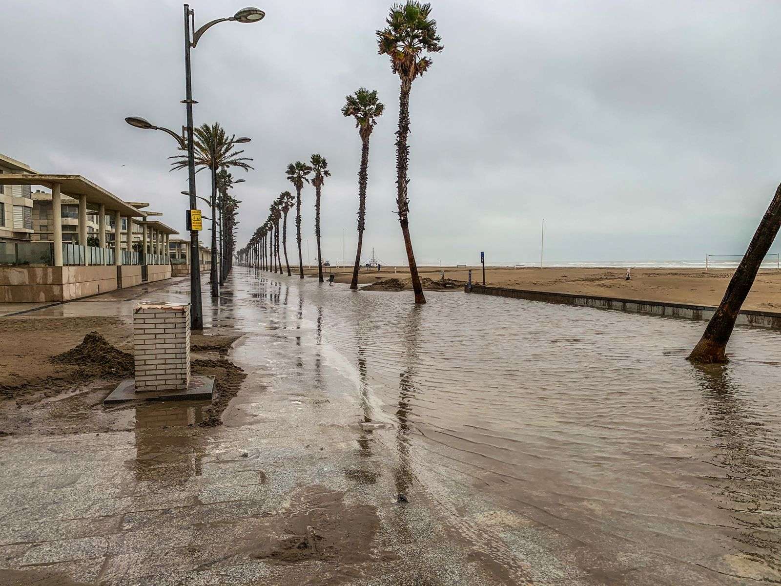 Flooded coastal street lined with palm trees under overcast skies during a coastal flood advisory