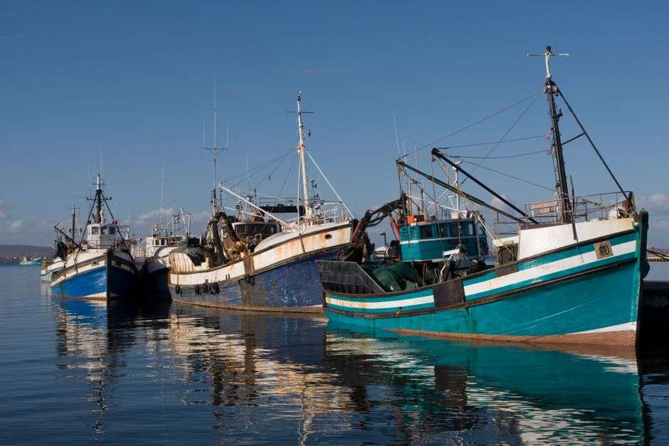 Fishing boats docked at a marina ahead of the Alabama Deep Sea Fishing Rodeo