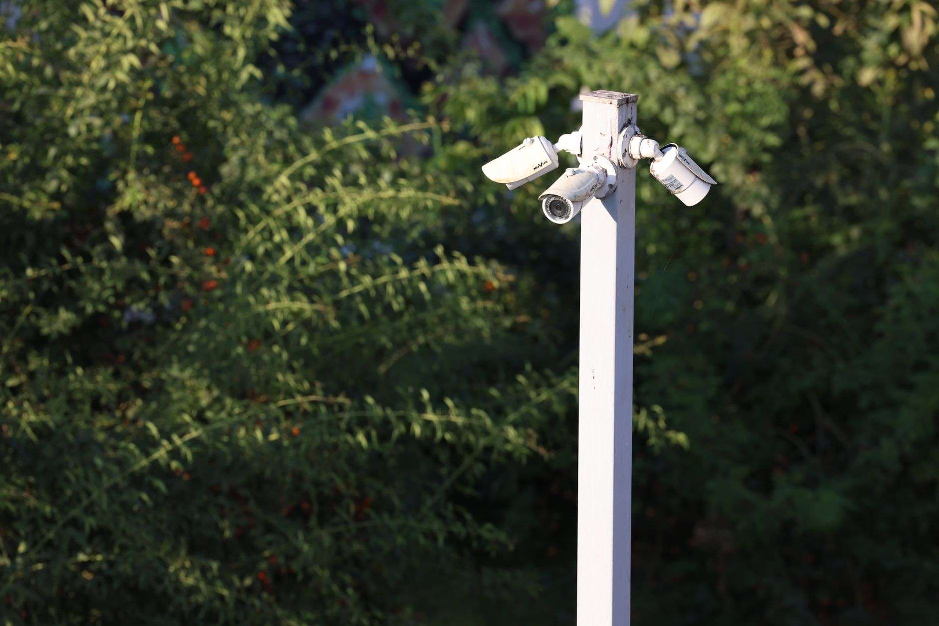 Surveillance camera mounted on a pole along a roadway