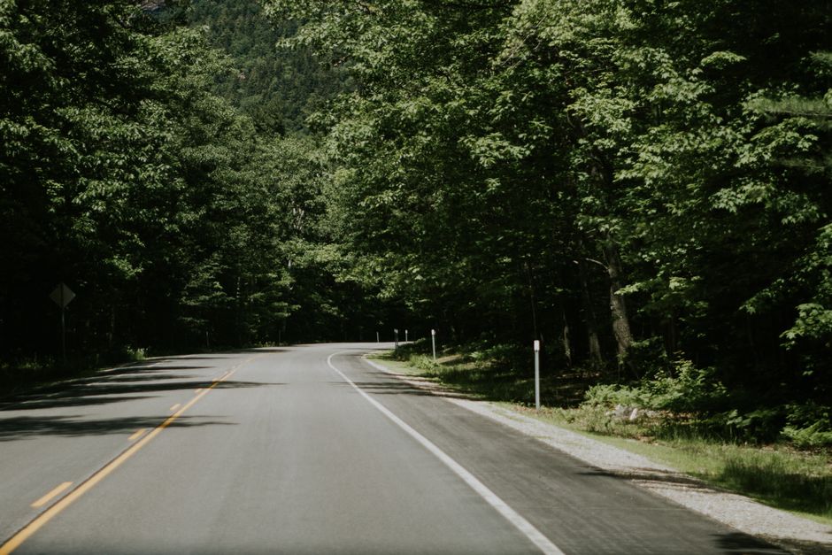 Alabama highway roadside