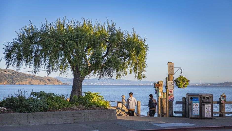 A shoreline walkway runs along a calm bay near waterfront homes