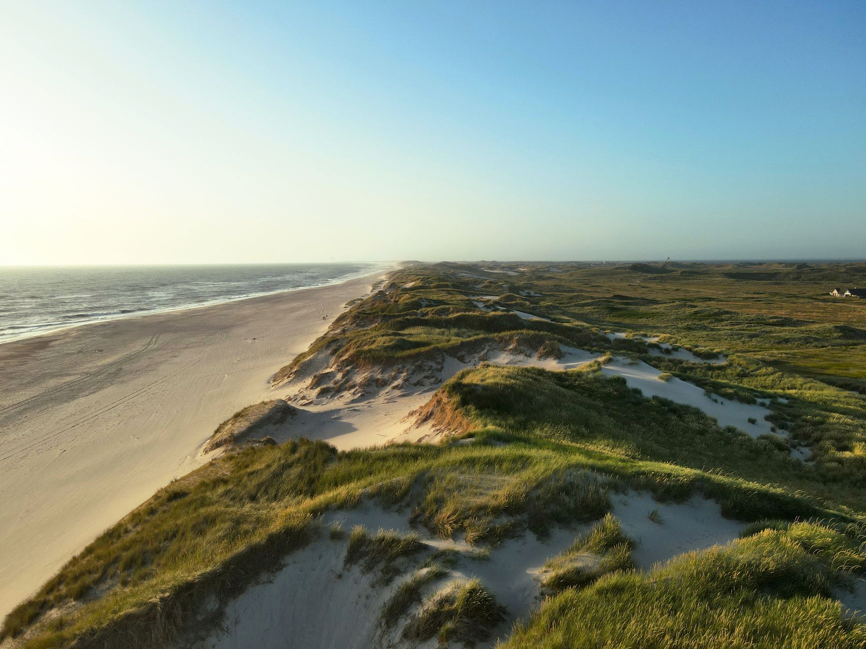 A sandy beach with low dunes along a bay shoreline