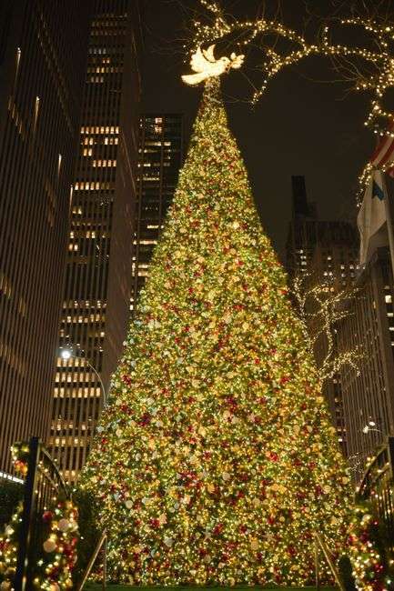 A large Christmas tree decorated with lights in a downtown setting at night, similar to Fairhope's holiday lighting display