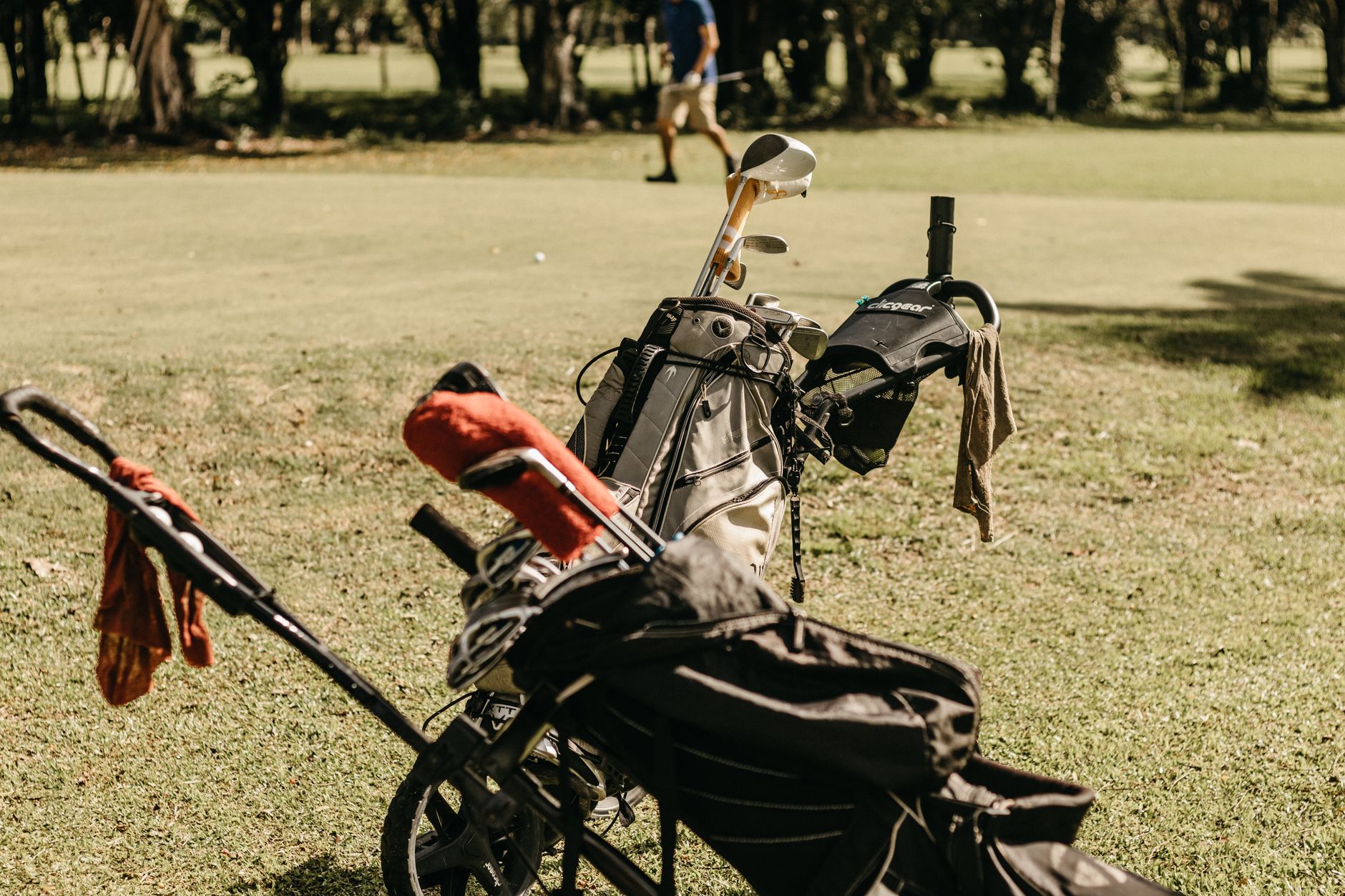 Caddy carrying a golf bag along a tree-lined fairway