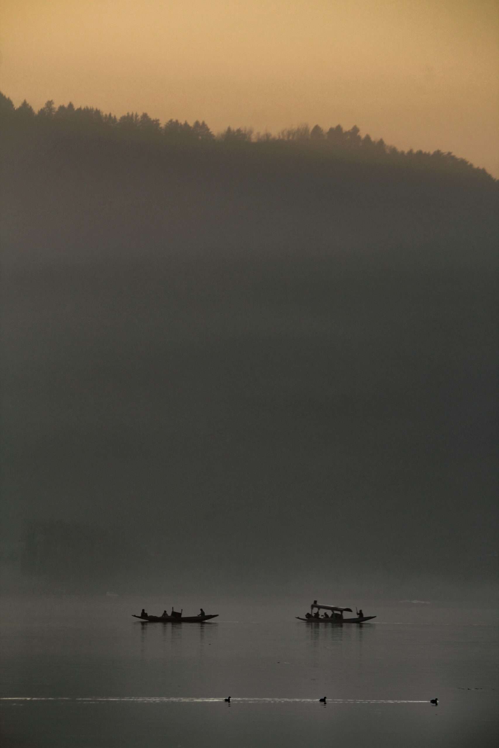 Boats on a foggy river at dusk