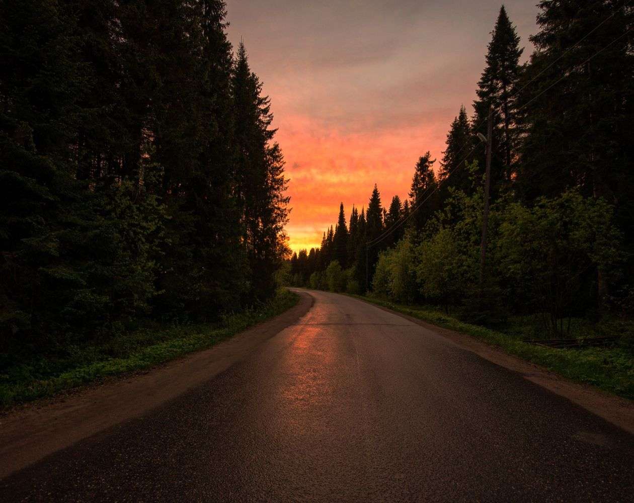 A quiet rural two-lane road lined with trees at dusk in South Alabama