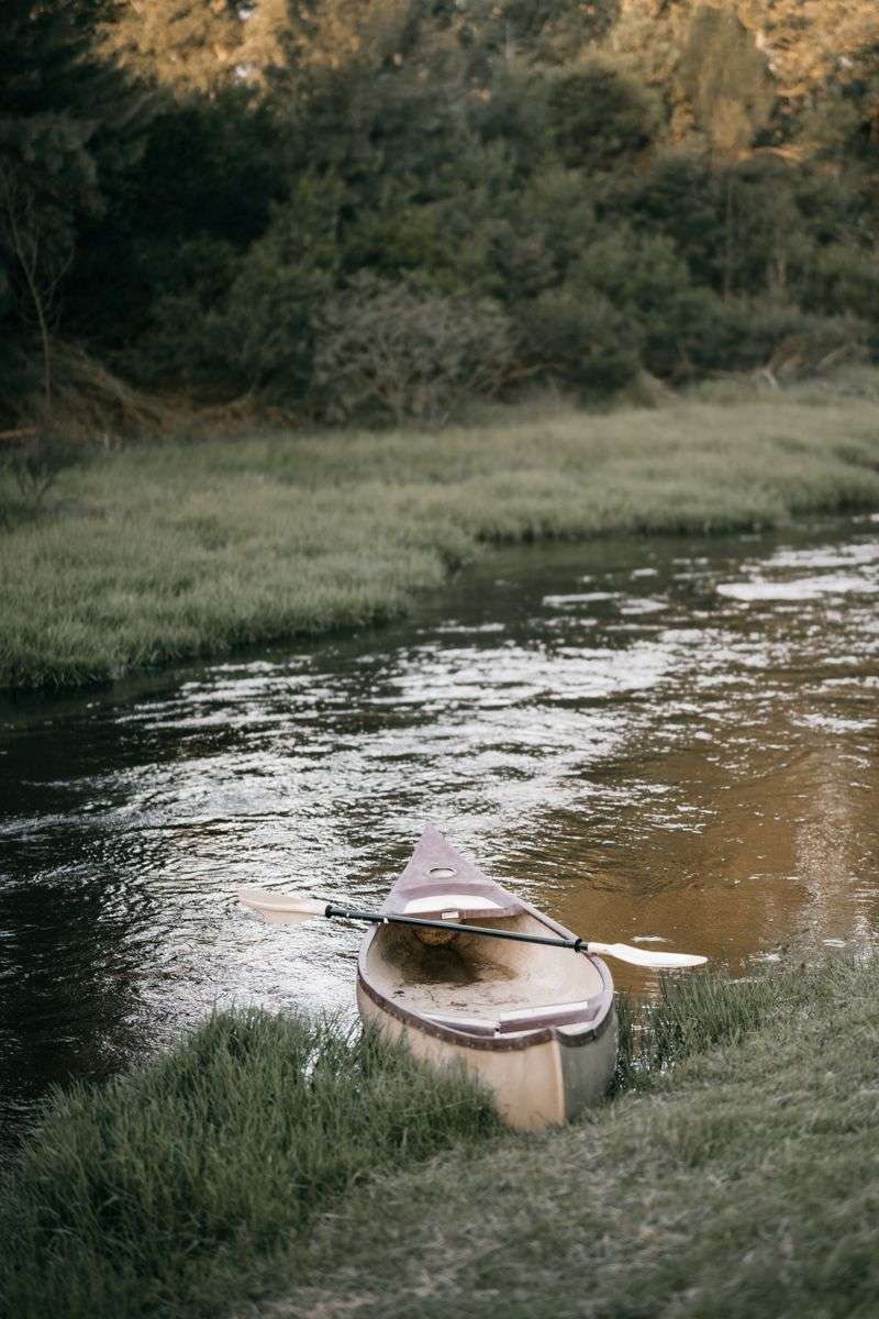 A narrow canoe canal winding through coastal marsh and trees