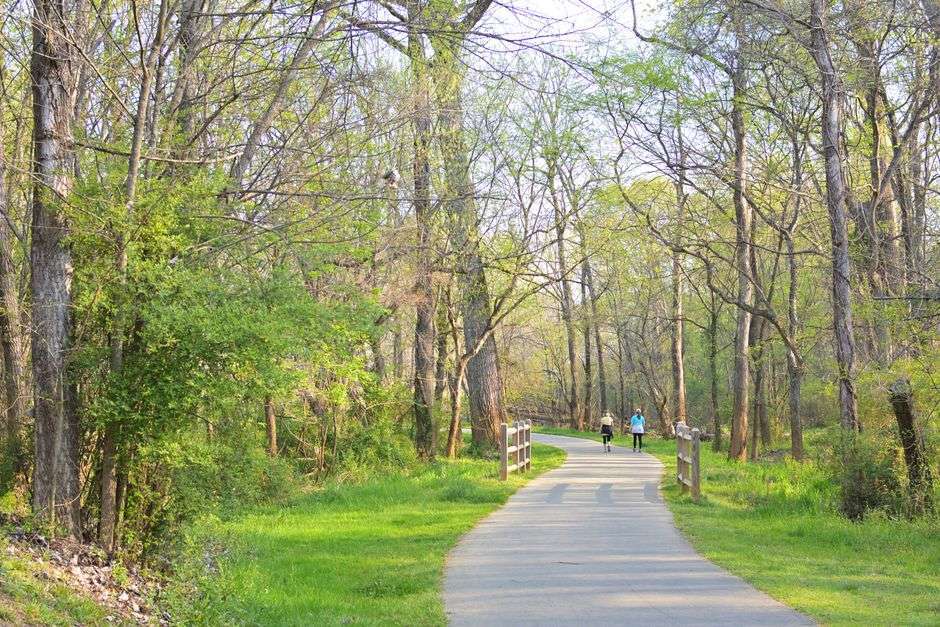 A shaded walking and biking trail winding through trees, similar to the kind of greenway path planned for Mobile