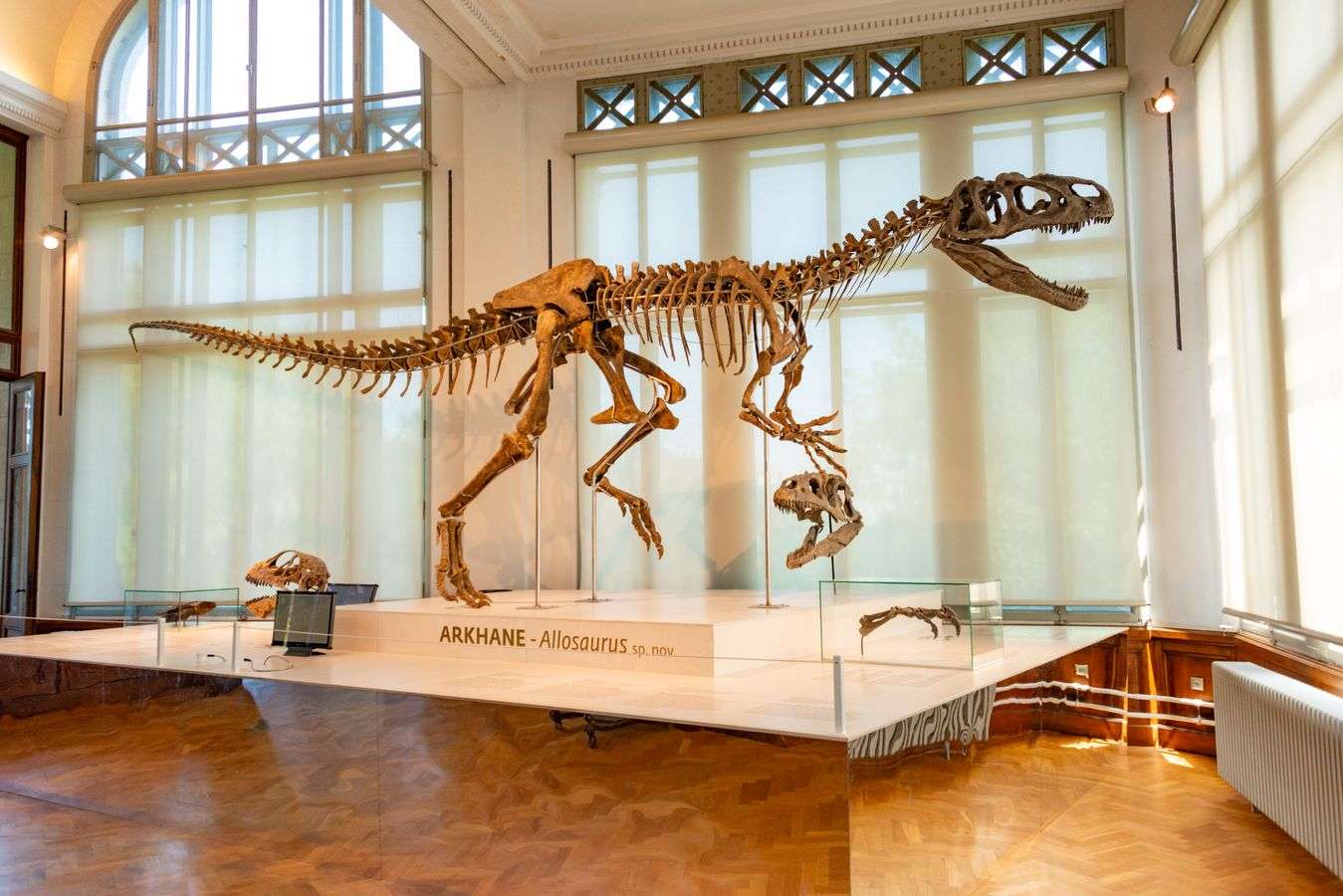 A museum exhibit hall with educational display panels