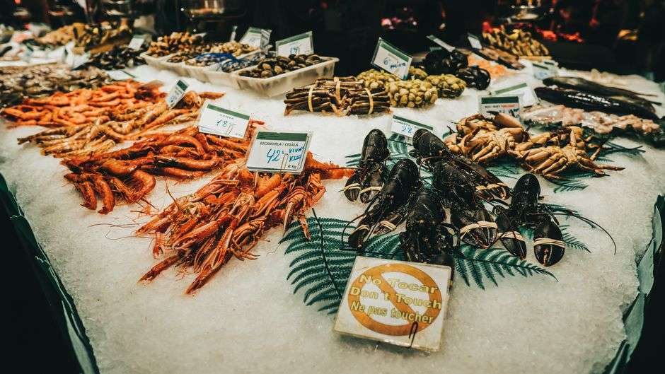 Fresh seafood displayed at a Gulf Coast seafood market