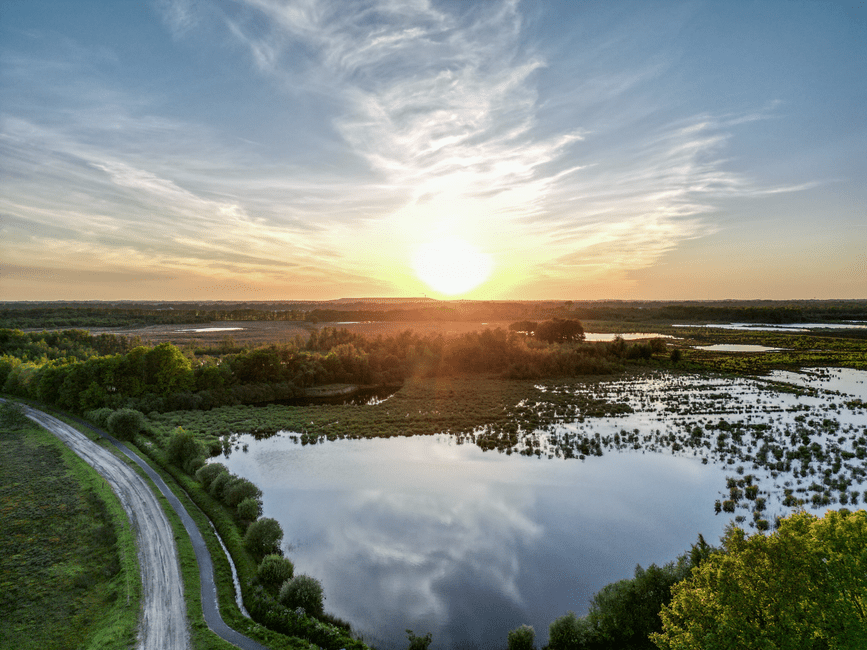 Aerial view of coastal wetlands and delta waterways along the Alabama Gulf Coast