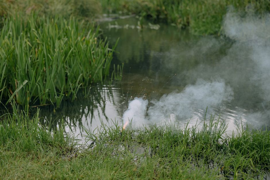 Smoke from a prescribed burn drifting over a coastal wetland