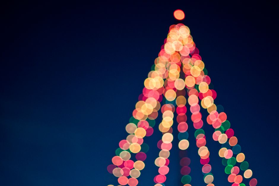 Holiday lights and Christmas tree at a coastal celebration