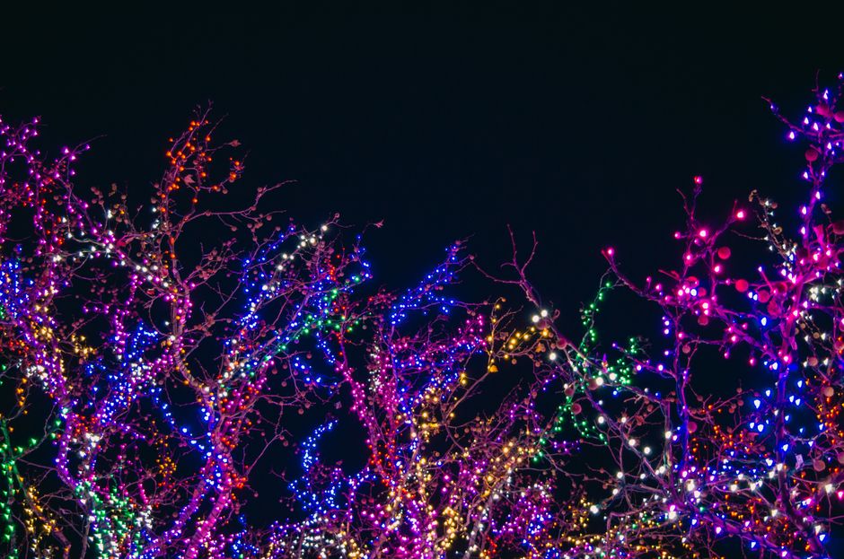 Colorful holiday light display at night