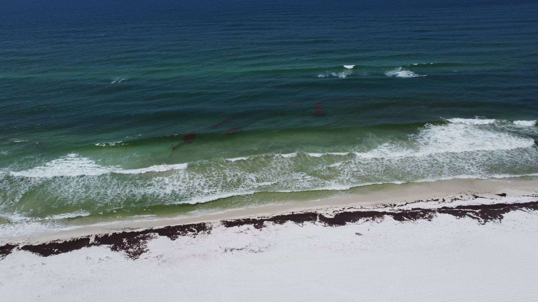 Aerial view of a white-sand Gulf Coast beach with clear blue water lapping the shore