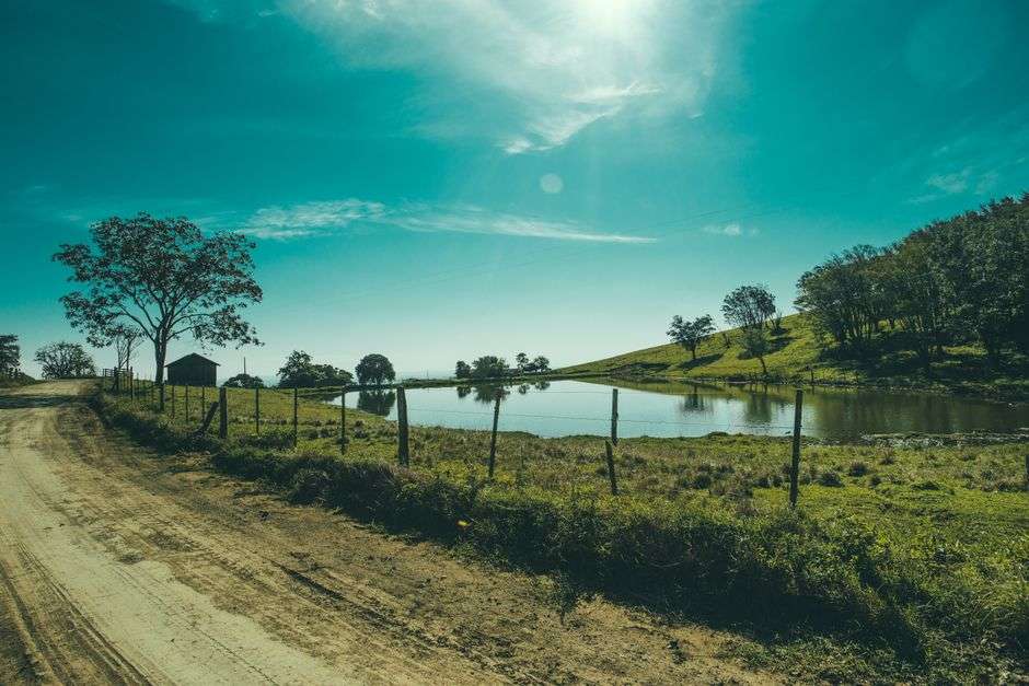 A quiet rural lake surrounded by trees