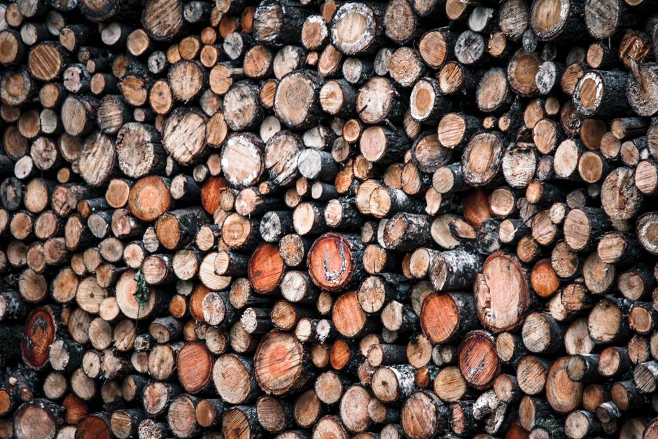 A forestry festival celebrating timber heritage and woodcutting traditions