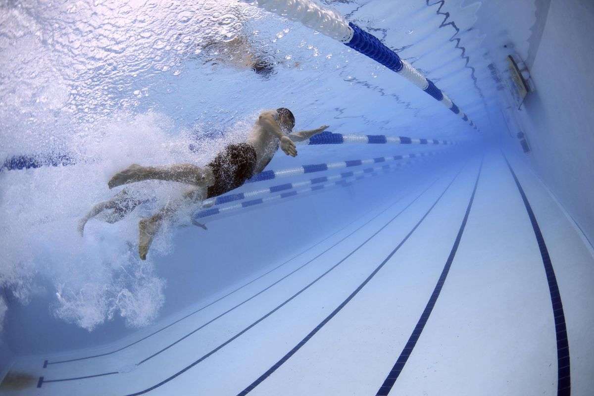 Swimmers competing in a pool race