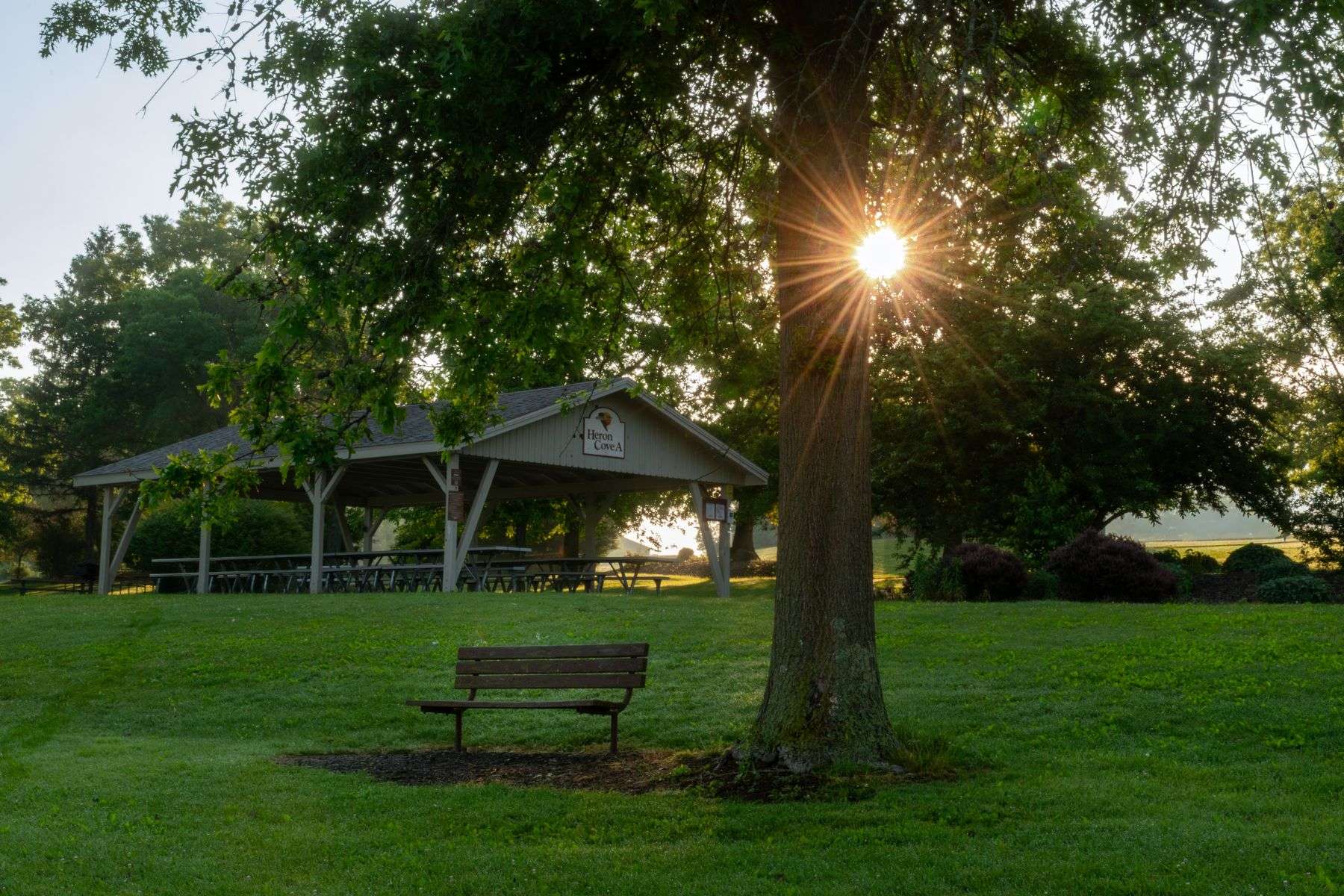 Open-air timber pavilion in a shaded park setting, similar to the new picnic shelter at Lillian Recreation Park