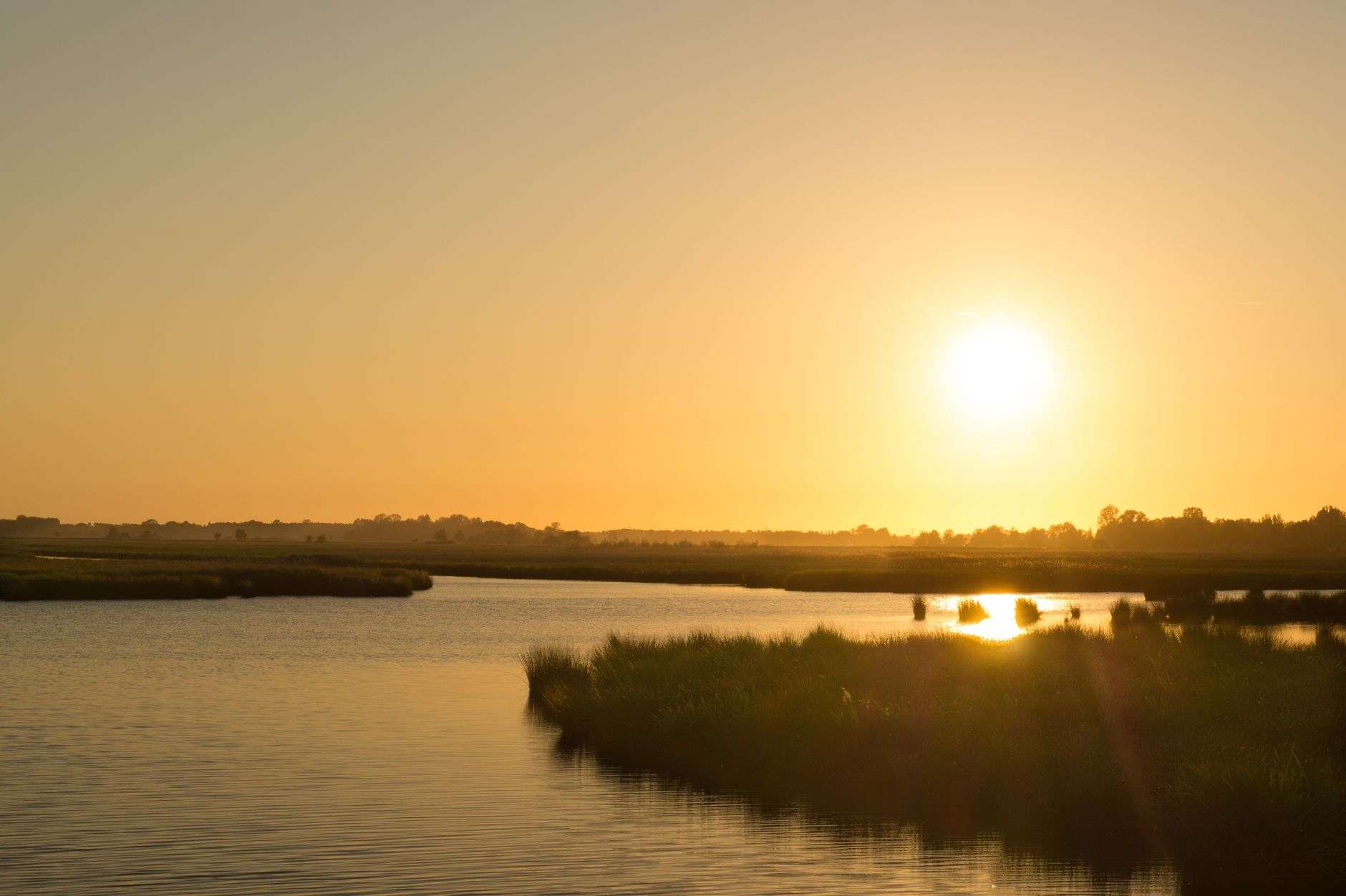A wooded river watershed similar to the Magnolia River, the focus of a new Baldwin County conservation partnership.