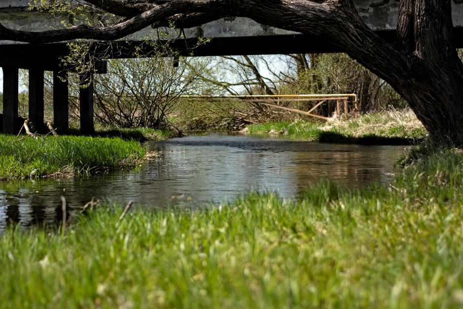 A rural creek and bridge crossing similar to the Nolte Creek search area in Baldwin County