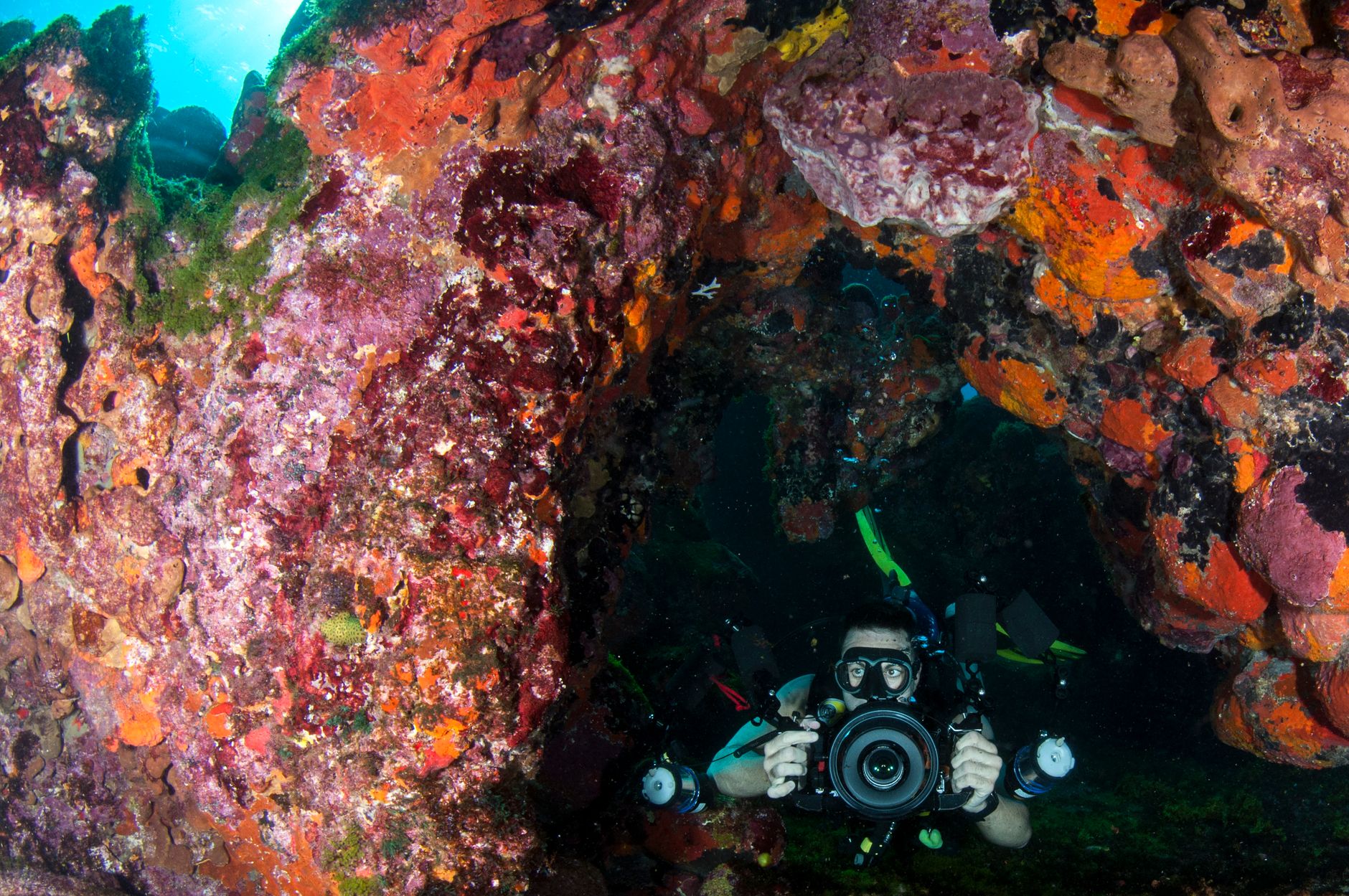 A diver filming marine life underwater with a camera