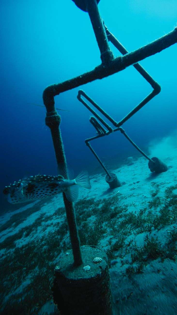 Artificial reef structure underwater