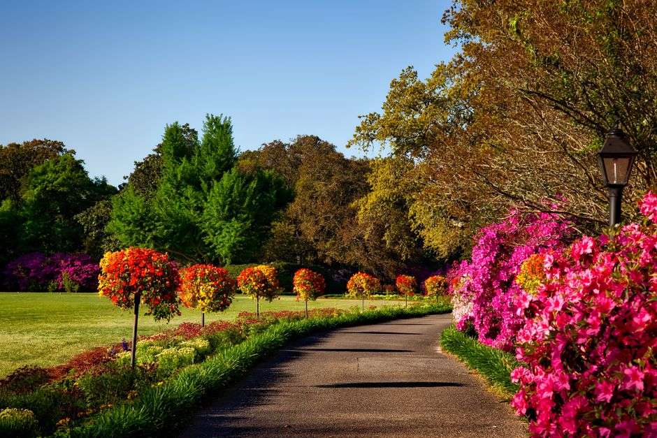 A scenic garden landscape with lush greenery and blooming plants along a walking path