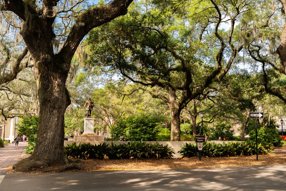 Large oak trees shading a downtown park square