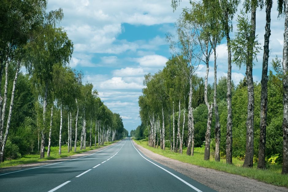 Rural two-lane road bordered by trees in Mobile County